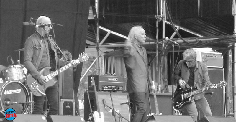 Radio Birdman Azkena Rock Festival