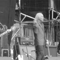 Radio Birdman Azkena Rock Festival