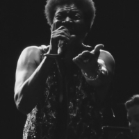 Charles Bradley Black is Back festival 2016