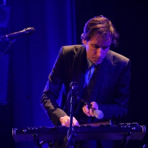 Andrew Bird concierto Madrid 2016.2