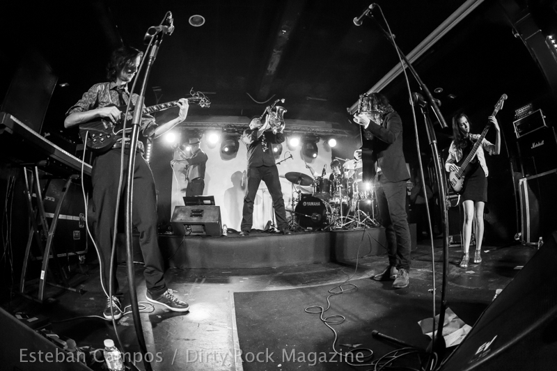 volpe band-IM6A9319_023 volpe band-IM6A9319_023