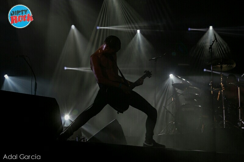 mantar4