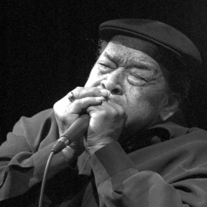 jamescotton