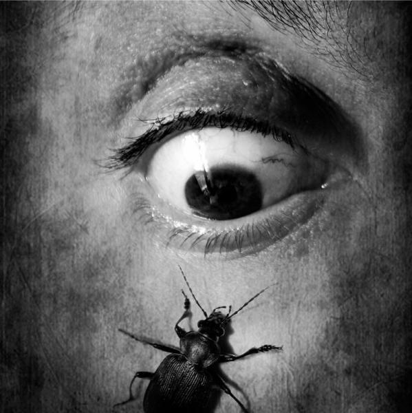 Nuevo disco de Booty Hunters Speaking Of The Devil. Nuevo disco de Booty Hunters Speaking Of The Devil.