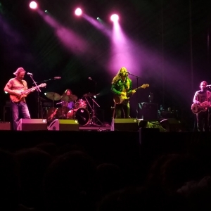 Chris Robinson Brotherhood Azkena Rock Festival 2018.