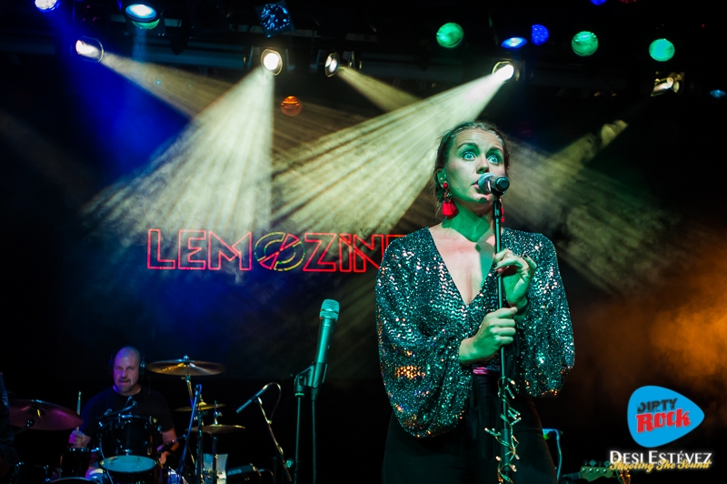Lemozine Things We Should Say 2018.3