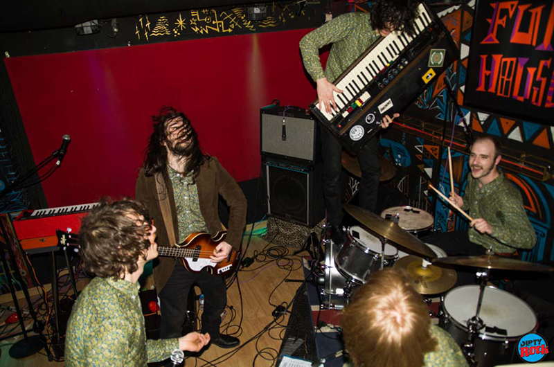 Cayman Kings Marigold under Scales 2019 Madrid Cayman Kings Marigold under Scales 2019 Madrid
