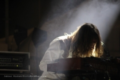 Dewolfmojomusicfestivaldirtyrockmagazine