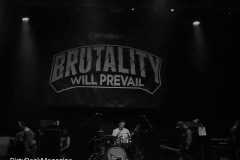 brutalitywillprevail_144343