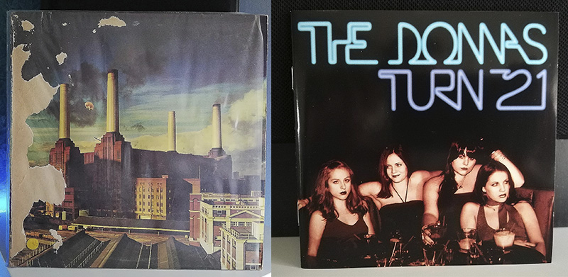 Pink Floyd Animals The Donnas The Donnas Turn 21