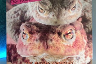 Peter And The Test Tube Babies The Mating Sounds Of South American Frogs disco