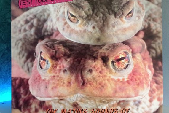 Peter And The Test Tube Babies publican 