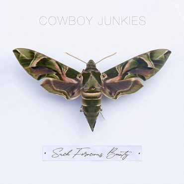 Cowboy Junkies lanzan nuevo disco, Such Ferocious Beauty