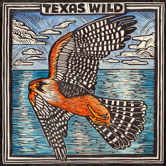 Texas Wild, celebrando los 100 años de la red estatal de parques tejanos