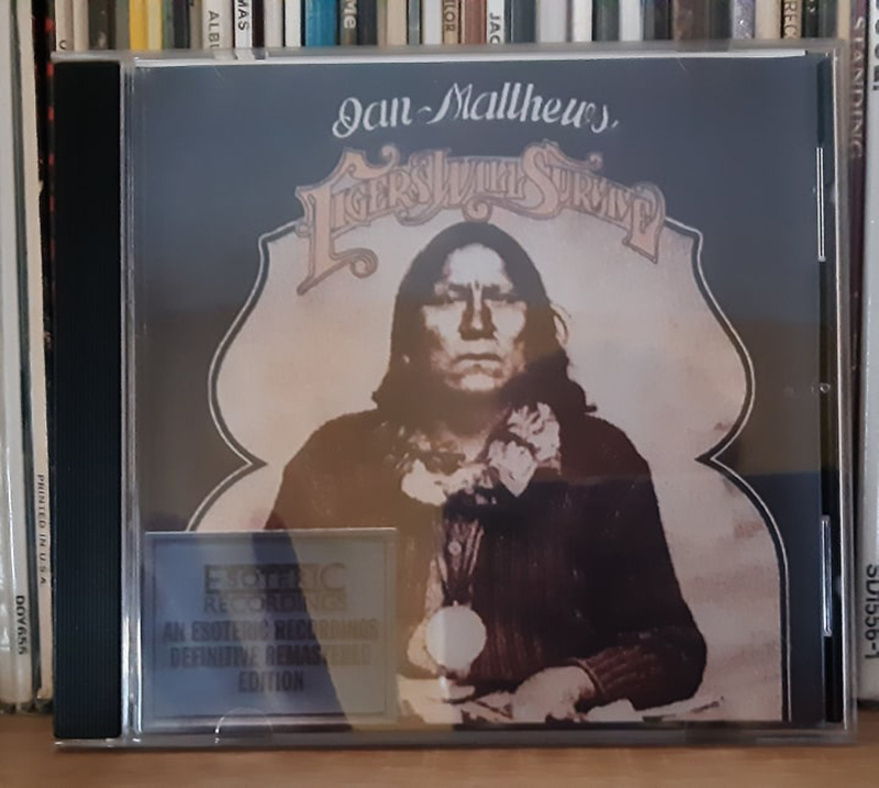 Iain Matthews - Tigers will survive (1972) disco review