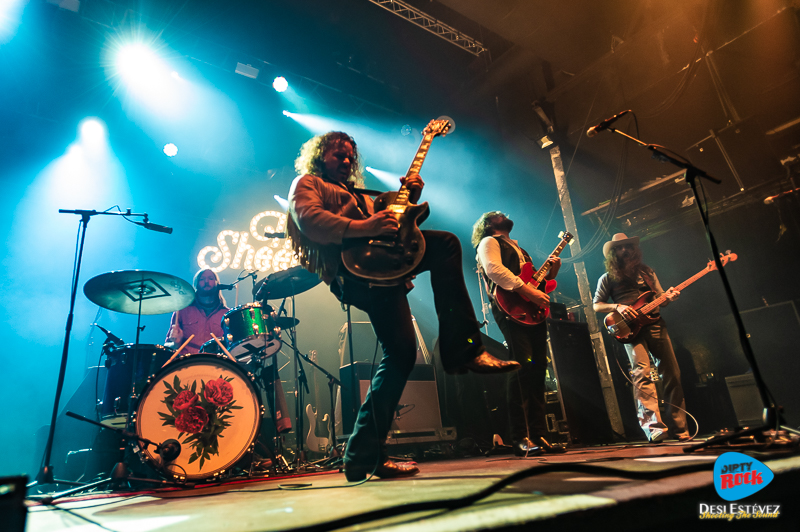 20231107-The-Sheepdogs_DSI9141©DesiEstevez 20231107-The-Sheepdogs_DSI9141©DesiEstevez