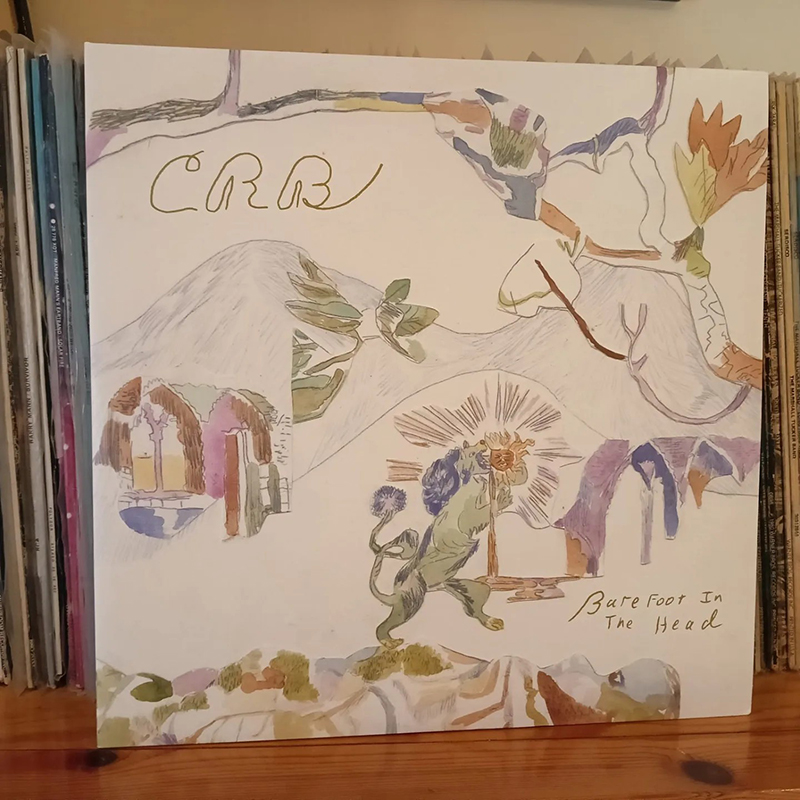 Chris Robinson Brotherhood Neal Casal review discos