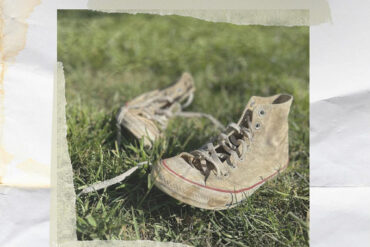 Will hoge TENDERHEARTED BOYS nuevo disco
