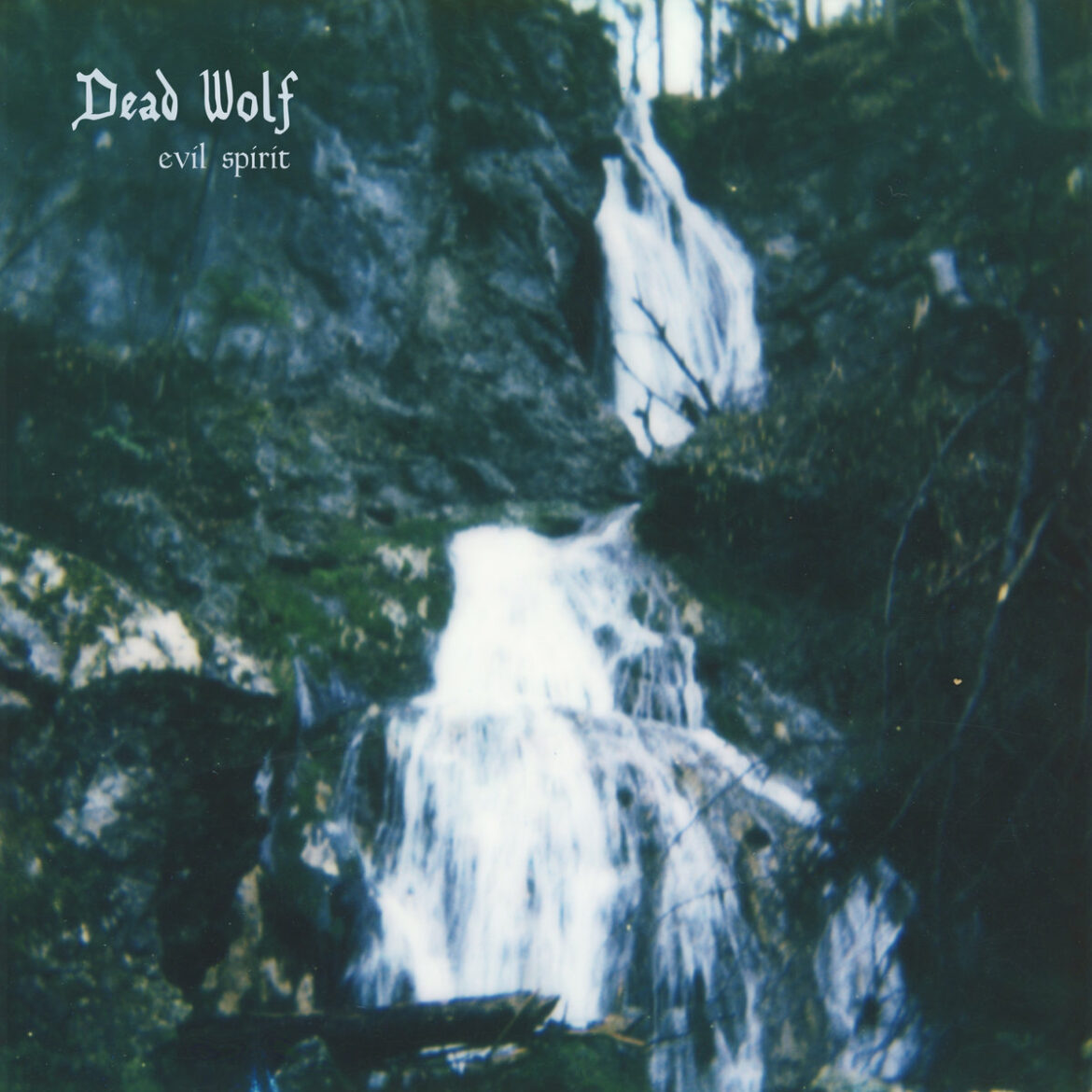 Dead Wolf "Evil Spirit"