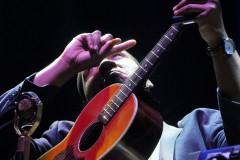 IIFestBluesMoratalaz.BlindBoyPaxton.AHortelano.02